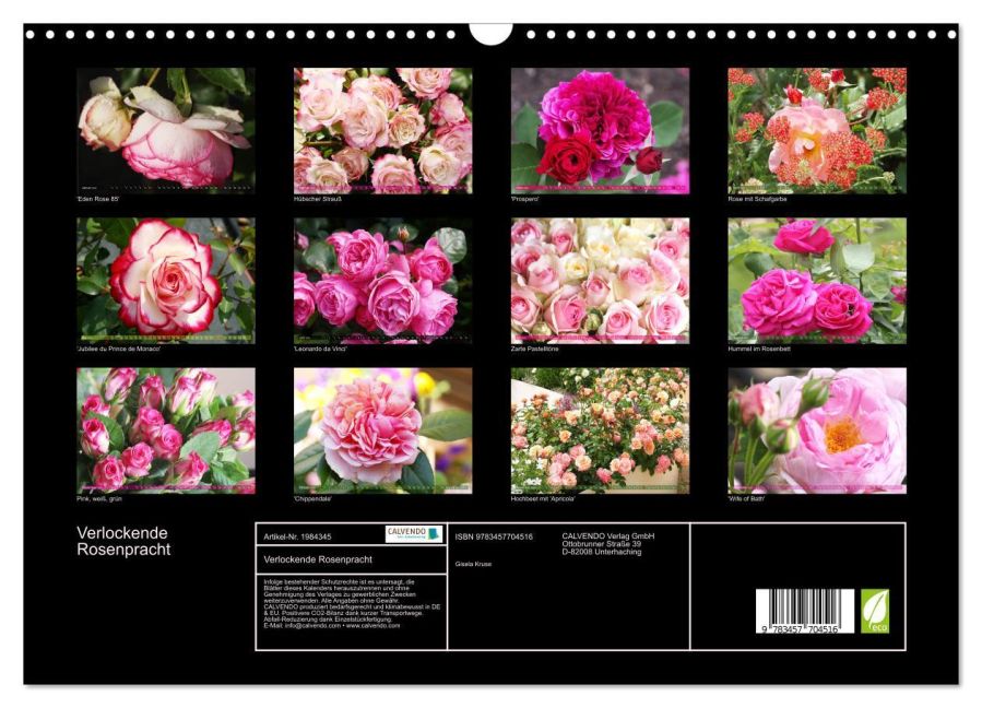 InsideView 5