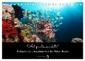 Abgetaucht! Entdecke die Unterwasserwelt des Roten Meeres (Tischkalender 2024 DIN A5 quer), CALVENDO Monatskalender - Susann und Felix Roßbach