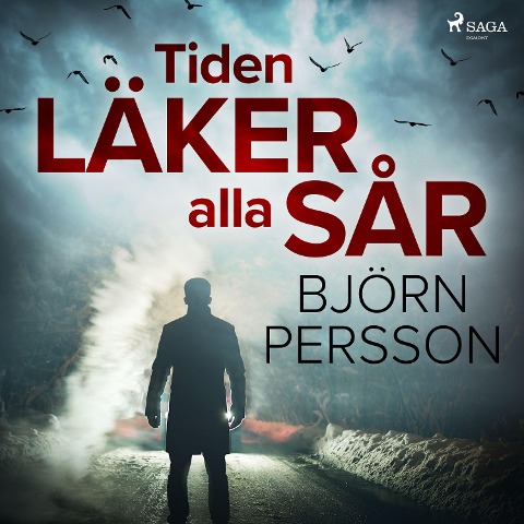 Tiden läker alla sår - Björn Persson