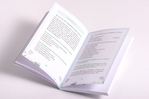 InsideView 4