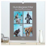 Hundegesichter beim Würstchenschnappen (hochwertiger Premium Wandkalender 2026 DIN A2 hoch), Kunstdruck in Hochglanz - Sonja Teßen