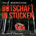 Cover-Bild zum Titel 'Botschaft in Stücken: Norwegen-Thriller' von 'Cole Branninghan'