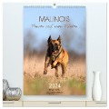 Malinois Power auf vier Pfoten (hochwertiger Premium Wandkalender 2024 DIN A2 hoch), Kunstdruck in Hochglanz - Tanja Riedel