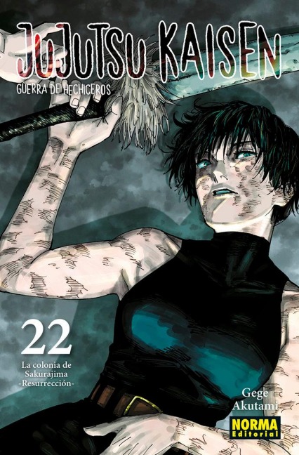 JUJUTSU KAISEN 22 - 