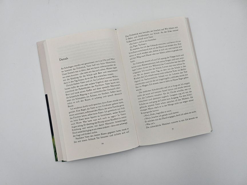 InsideView 6