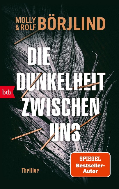Die Dunkelheit zwischen uns - Molly Börjlind, Rolf Börjlind