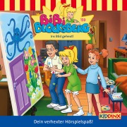 Cover-Bild zum Titel 'Ins Bild gehext!' von 'Sebastian Schlecht'