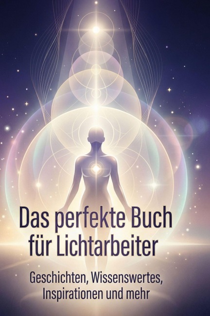 Das perfekte Buch für Lichtarbeiter - Theo Kaiser