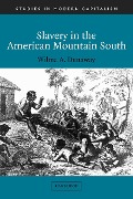 Slavery in the American Mountain South - Wilma A. Dunaway