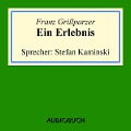 Cover-Bild zum Titel 'Ein Erlebnis' von 'Franz Grillparzer'