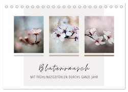 Cover-Bild zum Titel 'Blütenrausch - Mit Frühlingsgefühlen durchs ganze Jahr (Tischkalender 2026 DIN A5 quer), CALVENDO Monatskalender' von '(C) Kirsten d'Angelo - soulimages'