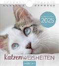 Wandkalender Katzenweisheiten 2025 - 