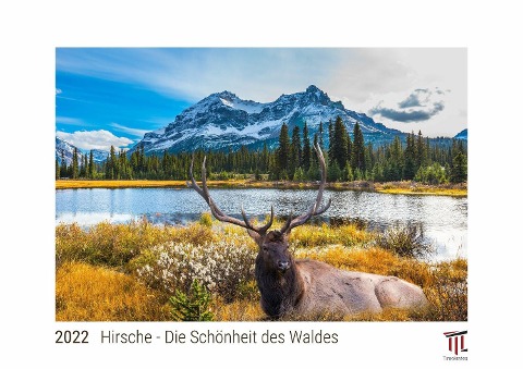 Hirsche - Die Schönheit des Waldes 2022 - White Edition - Timokrates Kalender, Wandkalender, Bildkalender - DIN A4 (ca. 30 x 21 cm) - 