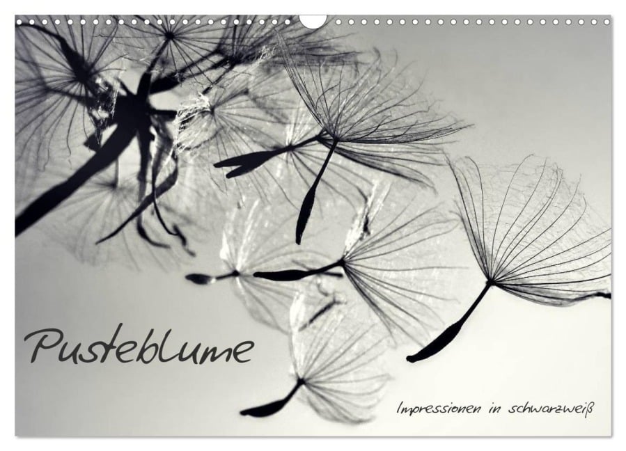Pusteblume - Impressionen in schwarzweiß (Wandkalender 2026 DIN A3 quer), CALVENDO Monatskalender - Julia Delgado