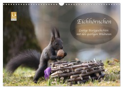 Eichhörnchen - Lustige Kurzgeschichten mit den quirligen Wildtieren (Wandkalender 2026 DIN A3 quer), CALVENDO Monatskalender - Birgit Cerny