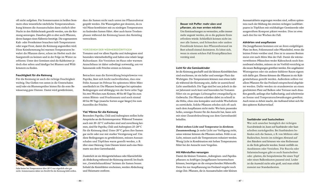InsideView 6