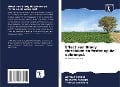 Cover-Bild zum Titel 'Effect van Brady rhizobium en fosfor op de opbrengst' von 'Zerihun Yebasa, Habtamu Ashagre, Thomas Abraham'