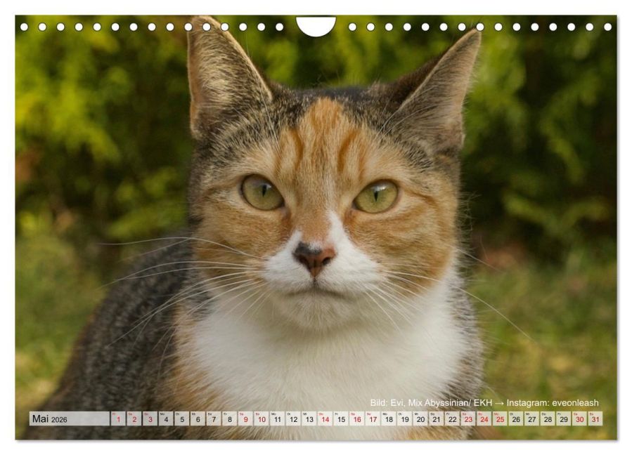 InsideView 10