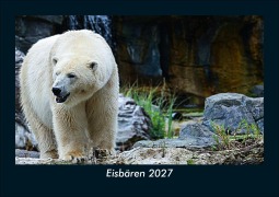 Cover-Bild zum Titel 'Eisbären 2027 Fotokalender DIN A5' von 'Tobias Schmitt, Kevin Heber'