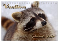 Cover-Bild zum Titel 'Waschbären (Tischkalender 2026 DIN A5 quer), CALVENDO Monatskalender' von 'Martina Berg'