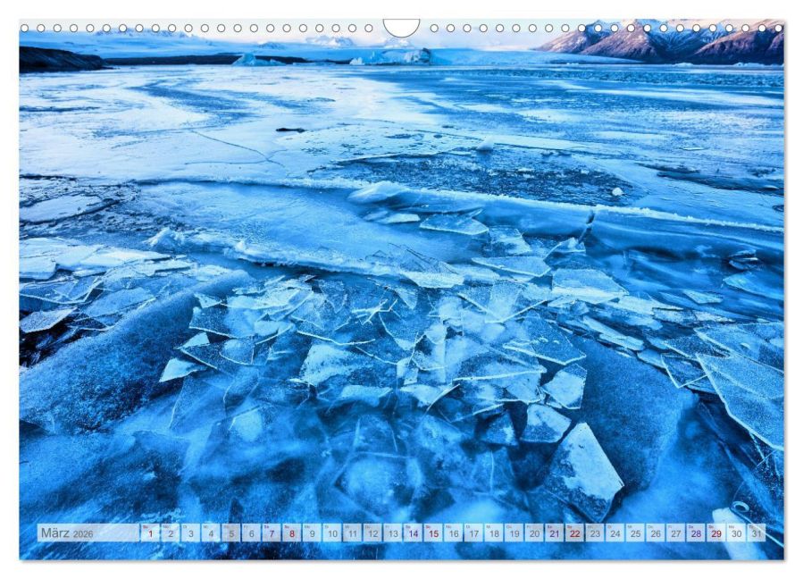 InsideView 8