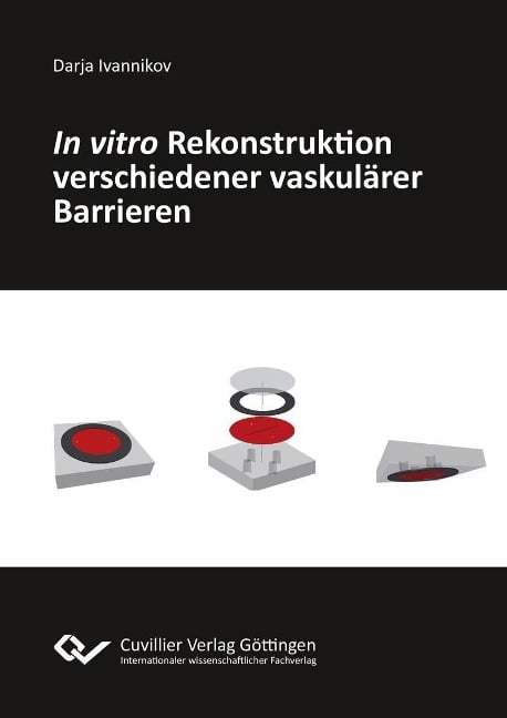 In vitro Rekonstruktion verschiedener vaskulärer Barrieren - 