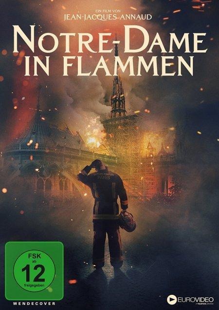 Notre Dame in Flammen - 