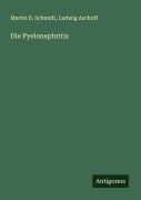 Cover-Bild zum Titel 'Die Pyelonephritis' von 'Martin B. Schmidt, Ludwig Aschoff'