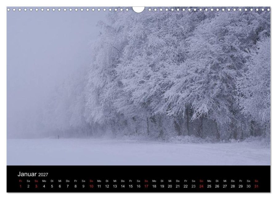 InsideView 6