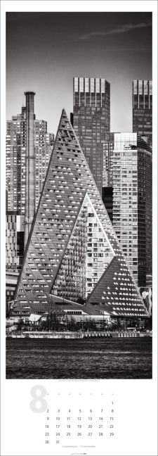 InsideView 8