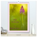 wilde Orchideen in Deutschland (hochwertiger Premium Wandkalender 2025 DIN A2 hoch), Kunstdruck in Hochglanz - Daniela Beyer (Moqui)