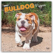 Cover-Bild zum Titel 'Bulldog Puppies - Bulldogge Welpen 2027 - 16-Monatskalender' von 'Browntrout Publishers'