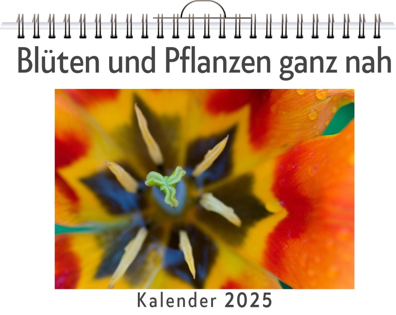 Blüten und Pflanzen ganz nah - (Wandkalender 2025, Kalender DIN A4 quer, Monatskalender im Querformat mit Kalendarium, das perfekte Geschenk) - Emily Schäfer