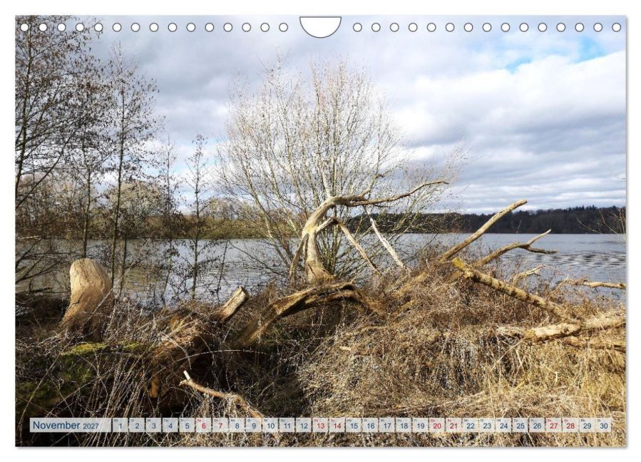 InsideView 3