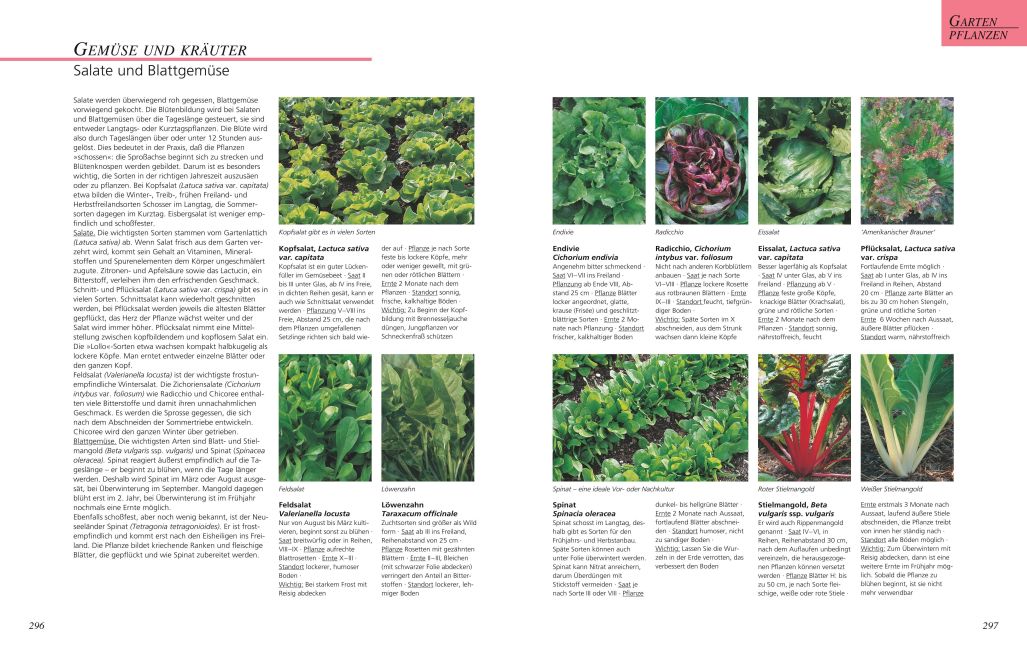 InsideView 6