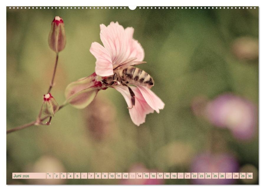 InsideView 10