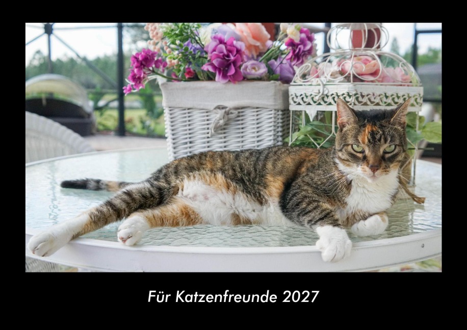 Für Katzenfreunde 2027 Fotokalender DIN A3 - Tobias Becker