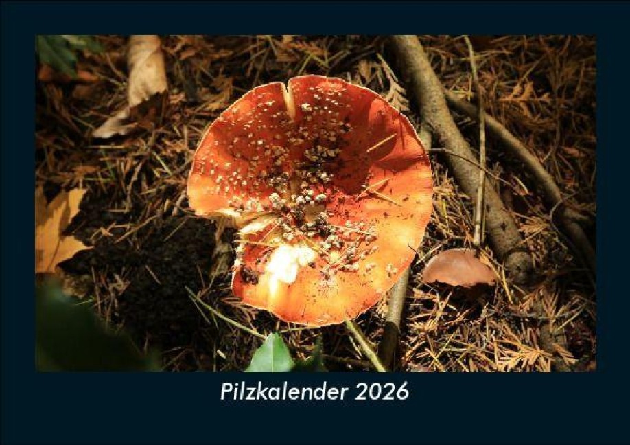 Pilzkalender 2026 Fotokalender DIN A5 - Tobias Becker