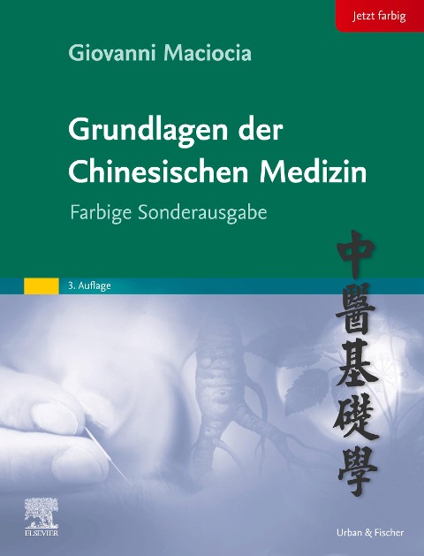 Grundlagen der chinesischen Medizin - Giovanni Maciocia