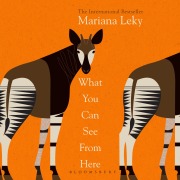 Cover-Bild zum Titel 'What You Can See From Here' von 'Mariana Leky'