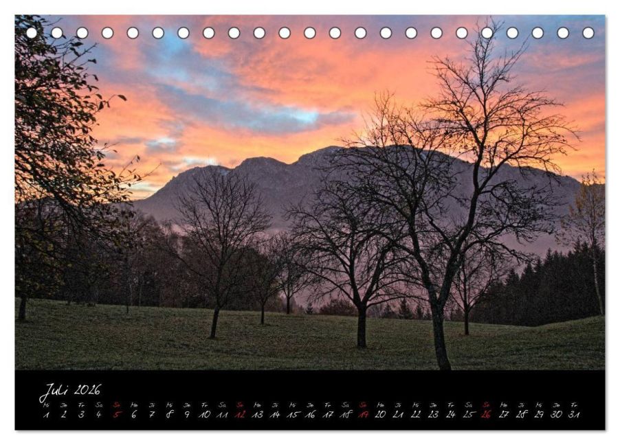 InsideView 12