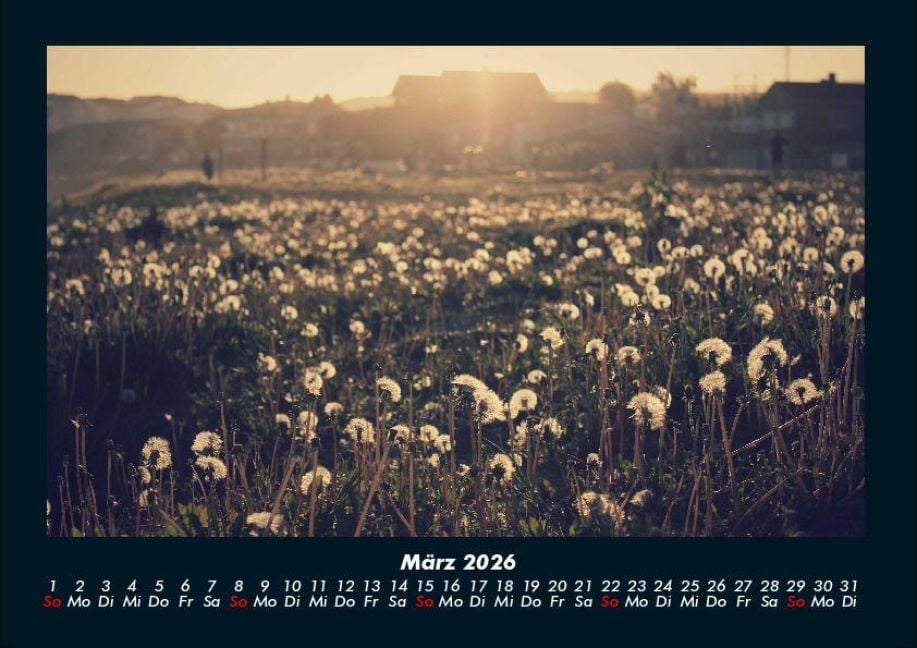 InsideView 7