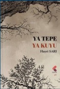 Cover-Bild zum Titel 'Ya Tepe Ya Kuyu' von 'Hayri Sari'