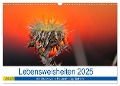 Lebensweisheiten 2025 (Wandkalender 2025 DIN A3 quer), CALVENDO Monatskalender - Michis Fotogalerie