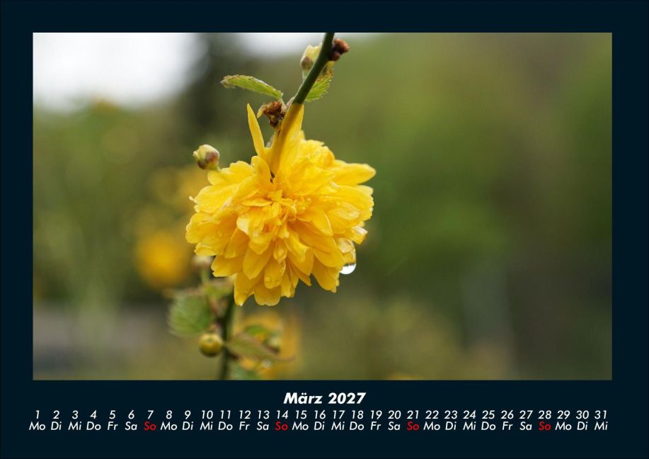 InsideView 7
