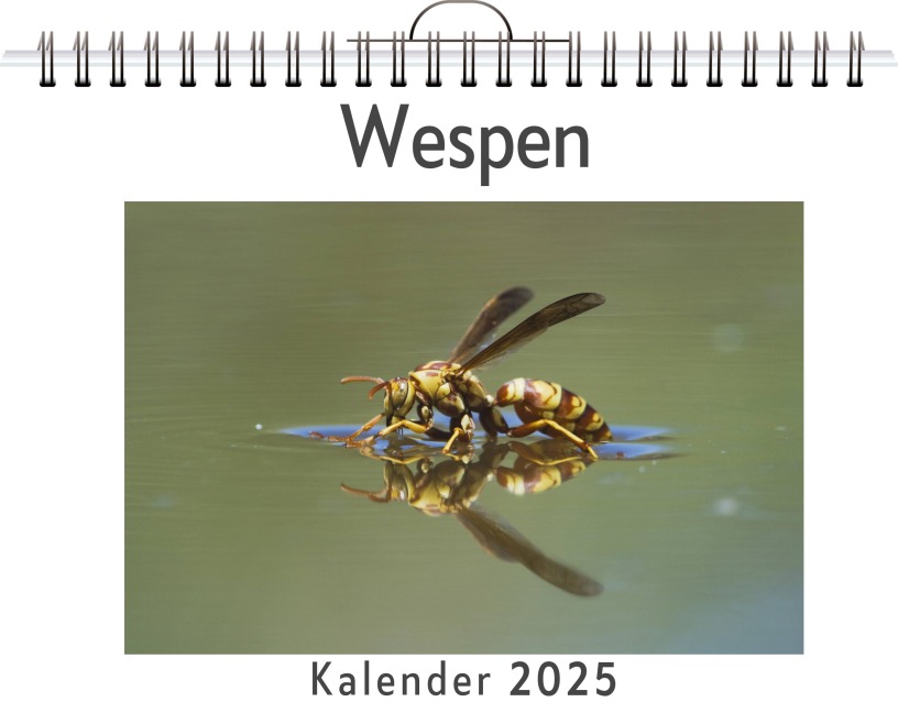 Wespen - Tim Klein