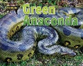 Green Anaconda - Ellen Lawrence