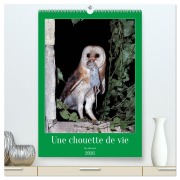 Une chouette de vie, les oiseaux (Calendrier mural 2026 DIN A2 horizontal) calendrier de bureau - Alain Gaymard