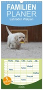 Cover-Bild zum Titel 'Familienplaner 2026 - Labrador Welpen mit 5 Spalten (Wandkalender, 21 x 45 cm) CALVENDO' von 'Heidi Bollich'