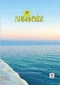 Cover-Bild zum Titel 'Nergiz' von 'Ali Burhan Bilgic'